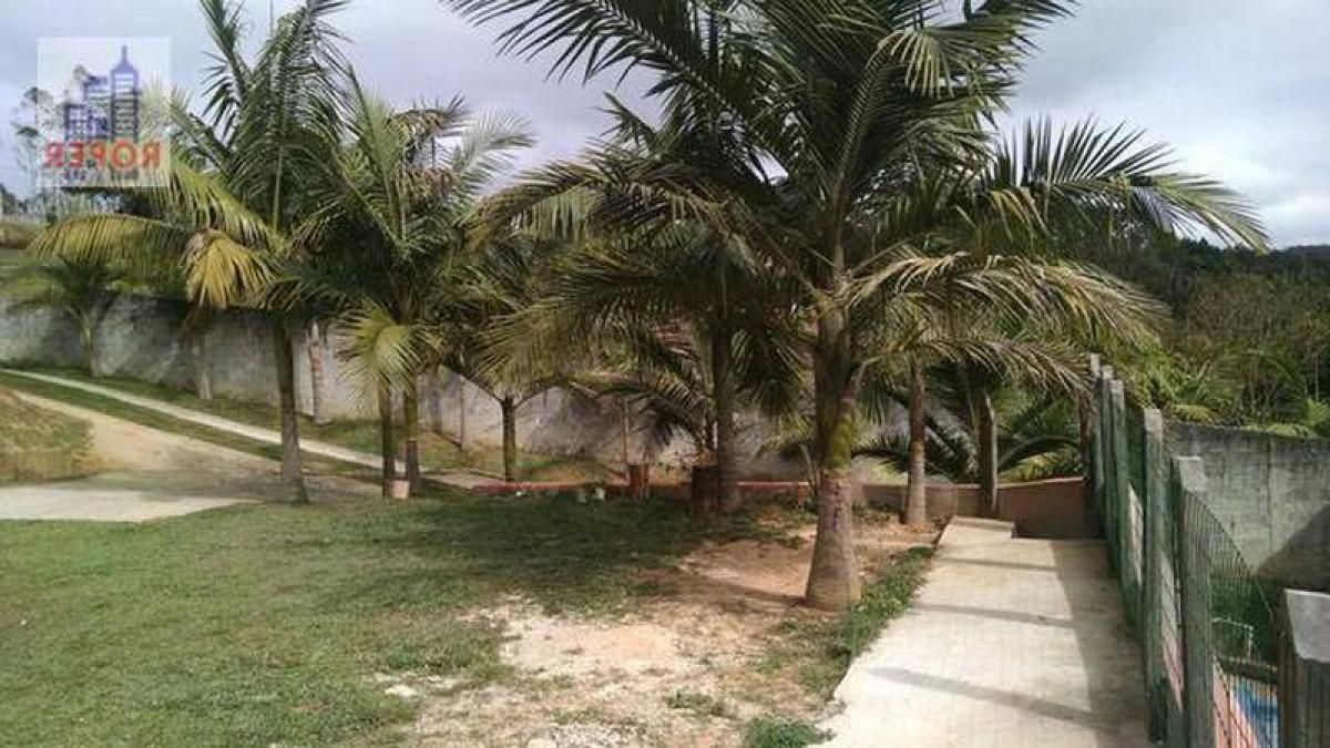 Studio à Sao Paulo, Brazil No. 499739