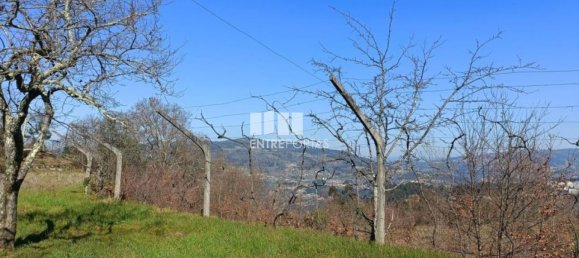 45m² Land in Sao Cristovao de Nogueira, Portugal No. 55616 3