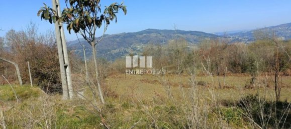 45m² Land in Sao Cristovao de Nogueira, Portugal No. 55616 15