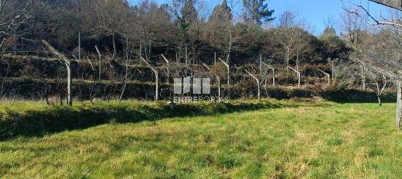 45m² Land in Sao Cristovao de Nogueira, Portugal No. 55616 4