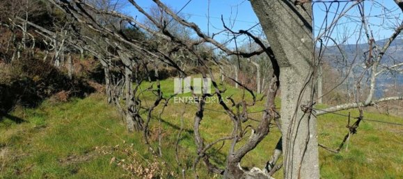 45m² Land in Sao Cristovao de Nogueira, Portugal No. 55616 13