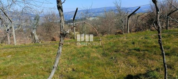 45m² Land in Sao Cristovao de Nogueira, Portugal No. 55616 14