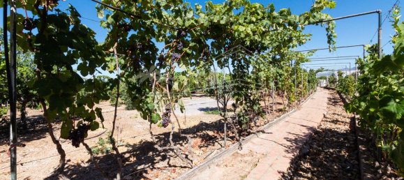 6 غرف نوم منزل في Guia de Isora, Spain رقم 130556 9