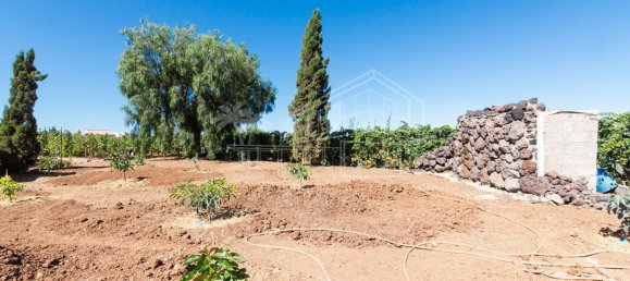 6 غرف نوم منزل في Guia de Isora, Spain رقم 130556 17