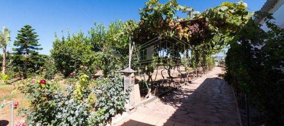 6 غرف نوم منزل في Guia de Isora, Spain رقم 130556 7