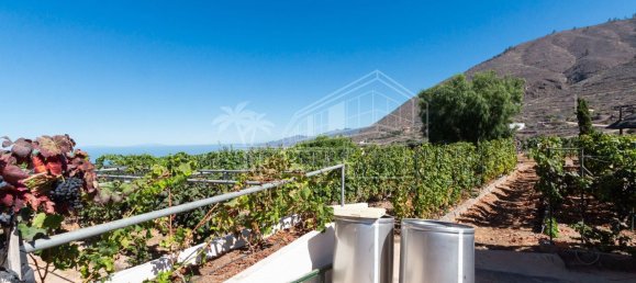 6 غرف نوم منزل في Guia de Isora, Spain رقم 130556 6