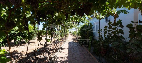 6 غرف نوم منزل في Guia de Isora, Spain رقم 130556 10