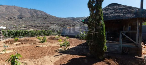 6 غرف نوم منزل في Guia de Isora, Spain رقم 130556 14