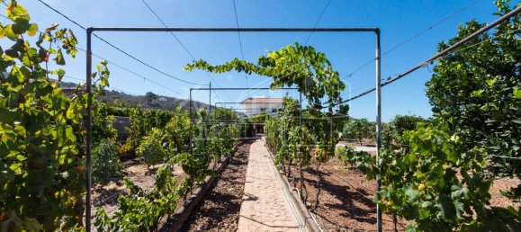 6 غرف نوم منزل في Guia de Isora, Spain رقم 130556 21