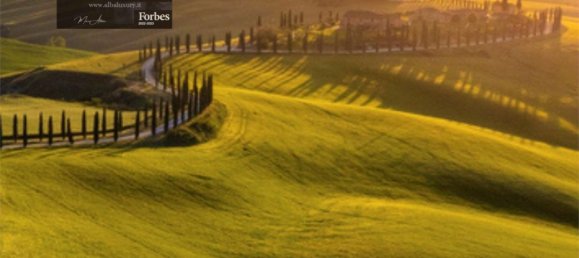 7 bedrooms Villa in Sarteano, Italy No. 451 6