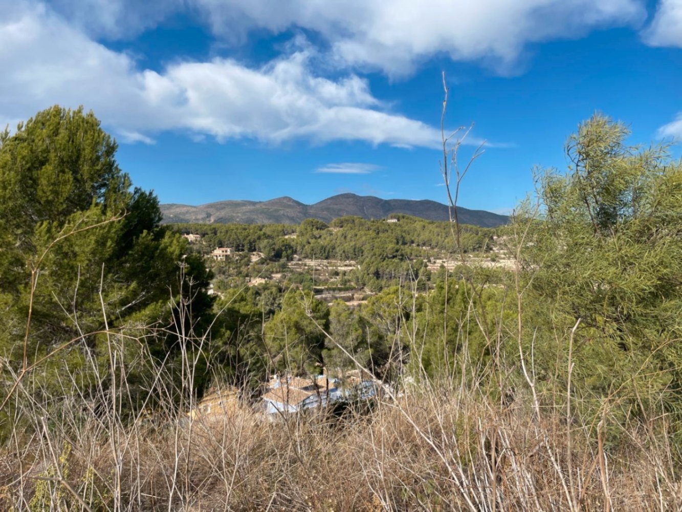  قطعة أرض في Calpe, Spain 1000متر مربع رقم 94658