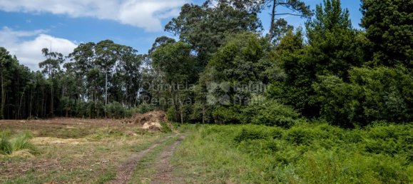 Terreno en Sao Felix da Marinha, Portugal 5536 m² No. 123082 5