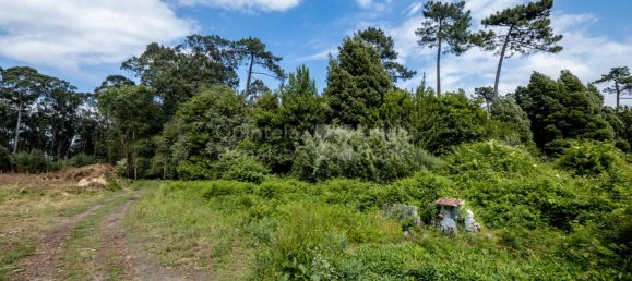 Terreno en Sao Felix da Marinha, Portugal 5536 m² No. 123082 6