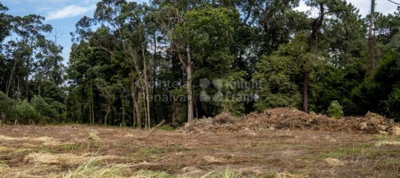 Terreno en Sao Felix da Marinha, Portugal 5536 m² No. 123082 16