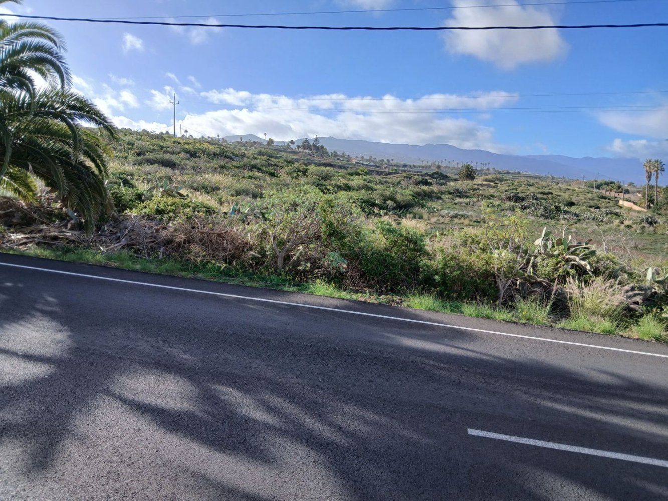 Terrain à Tacoronte, Spain No. 129599
