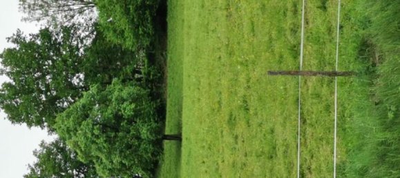  Land in Rosegg, Austria No. 194169 3