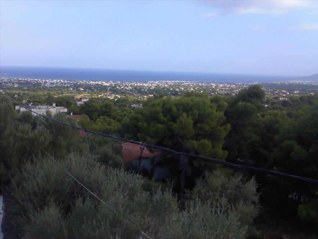  فندق في Spata-Loutsa, Greece 1359متر مربع رقم 4776
