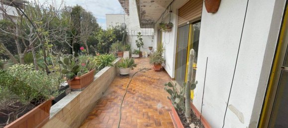 3-Zimmer Wohnung in Manfredonia, Italy, Nr. 22720 25