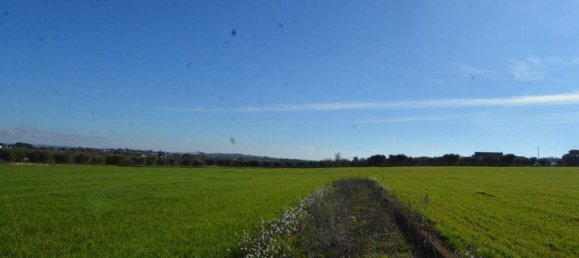 Casa T1 em Martina Franca, Italy N.º 120537 4