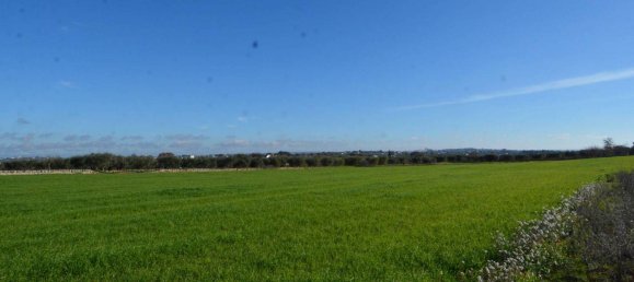 Casa T1 em Martina Franca, Italy N.º 120537 5