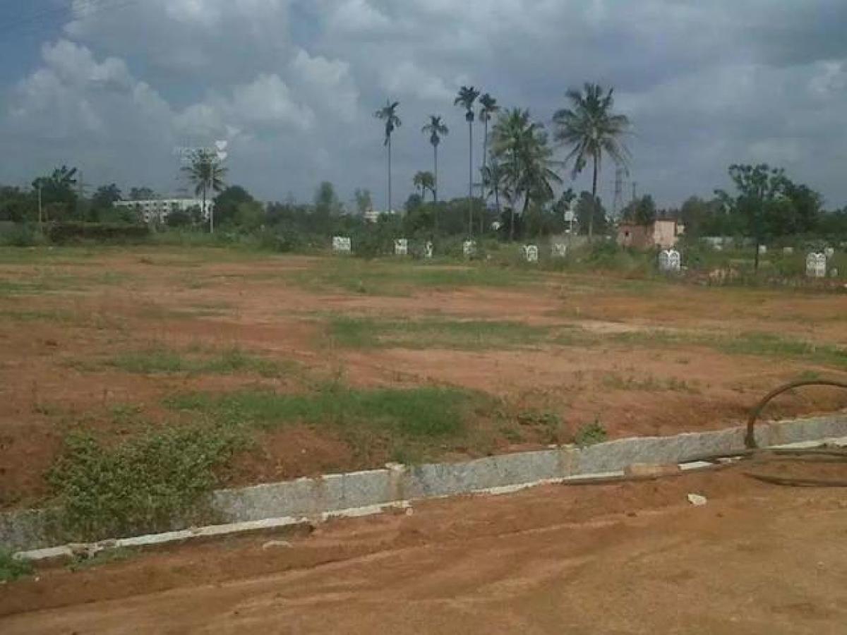  Land in Mohali, India No. 38128