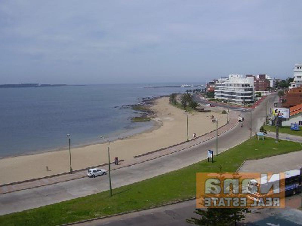 4 غرف نوم شقة في Maldonado, Uruguay رقم 8261