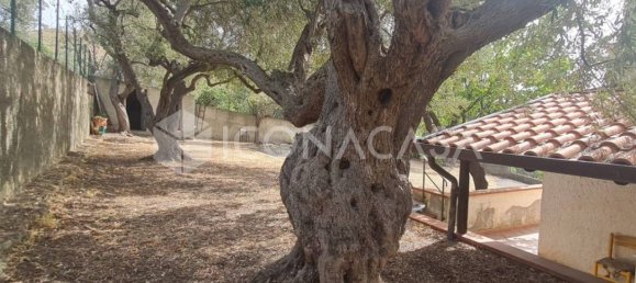 استوديو في Roccalumera, Italy رقم 19258 10