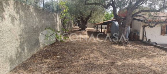 استوديو في Roccalumera, Italy رقم 19258 24