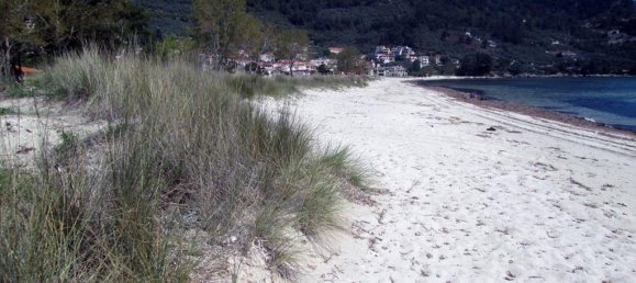 11700m² Hotel in Thasos, Greece No. 7922 13