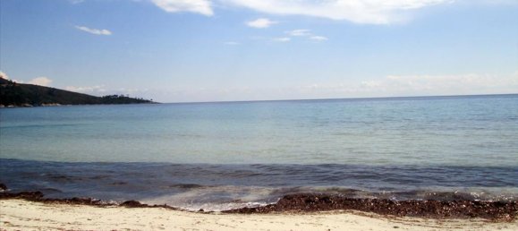 11700m² Hotel in Thasos, Greece No. 7922 12