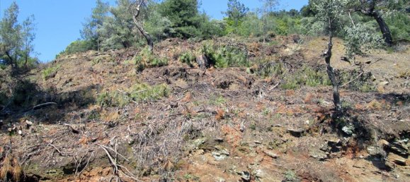 11700m² Hotel in Thasos, Greece No. 7922 11