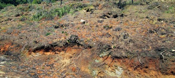 11700m² Hotel in Thasos, Greece No. 7922 9