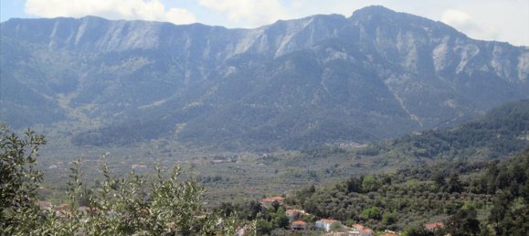 11700m² Hotel in Thasos, Greece No. 7922 2