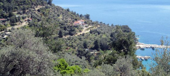 11700m² Hotel in Thasos, Greece No. 7922 6