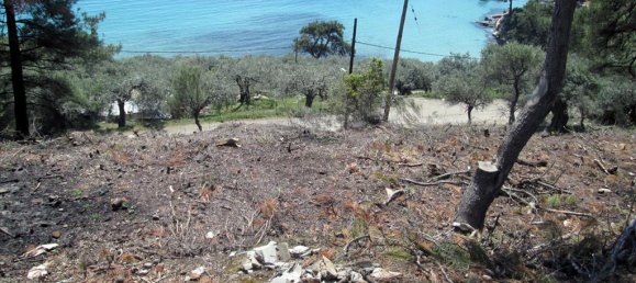 11700m² Hotel in Thasos, Greece No. 7922 10