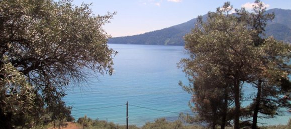 11700m² Hotel in Thasos, Greece No. 7922 5