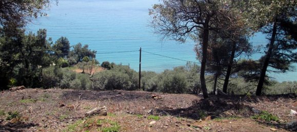 11700m² Hotel in Thasos, Greece No. 7922 8