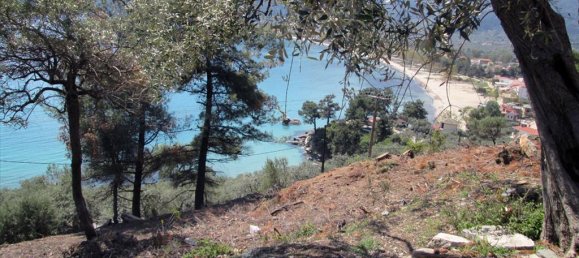 11700m² Hotel in Thasos, Greece No. 7922 7