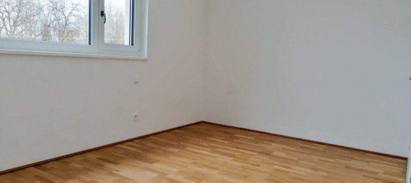 Apartamento de 2 divisões em Feldkirchen bei Mattighofen, Austria N.º 204468 3