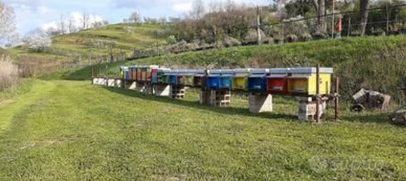  Land in Serravalle Pistoiese, Italy No. 318117 5