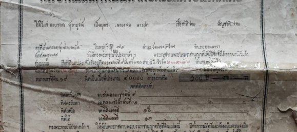 Grundstück in Pathum Thani, Thailand 100548m², Nr. 75441 6