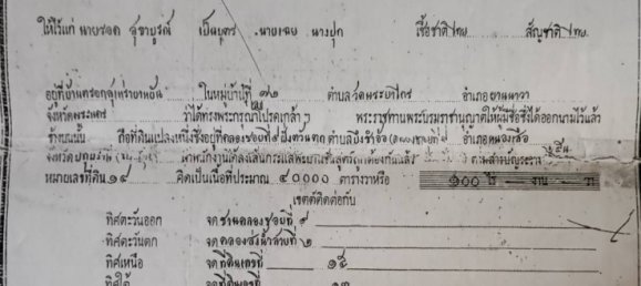 Grundstück in Pathum Thani, Thailand 100548m², Nr. 75441 5