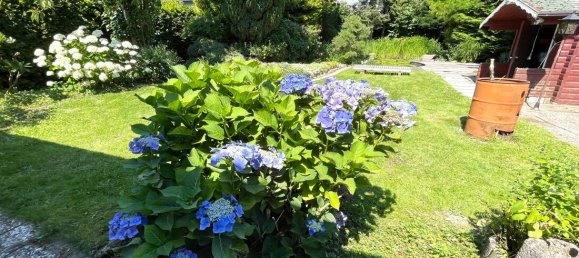 2 غرف نوم منزل في Harburg, Germany رقم 167754 17