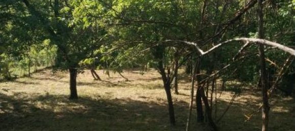 7 rooms House in Garessio, Italy No. 226655 12