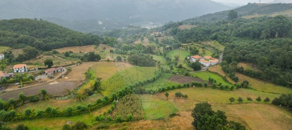 4 Schlafzimmer Haus in Fafe, Portugal, Nr. 162559 32
