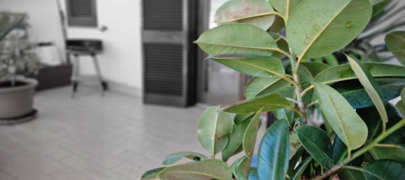 3-Zimmer Wohnung in Viterbo, Italy, Nr. 118042 15