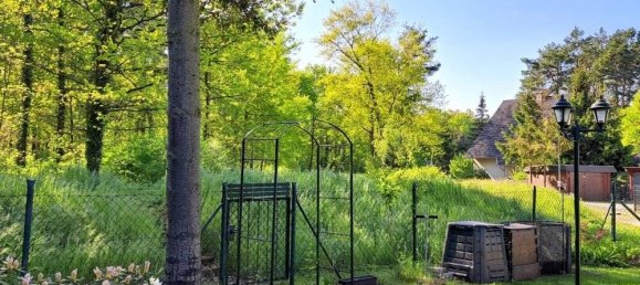 3-Zimmer Stadthaus in Cottbus, Germany, Nr. 109447 9