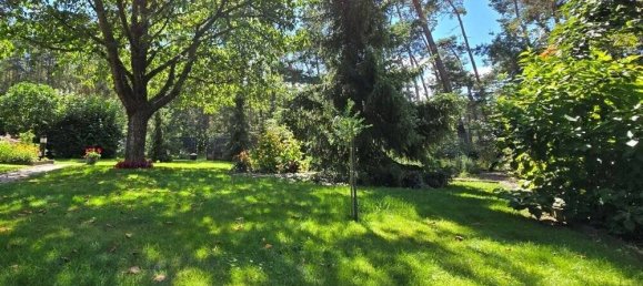 3-Zimmer Stadthaus in Cottbus, Germany, Nr. 109447 2