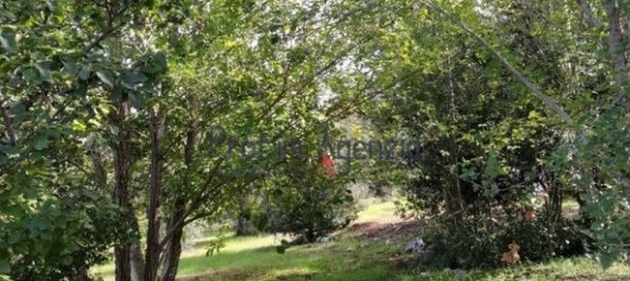 Дом с 4 комнатами в Челье Мессапика, Италия № 233351 7