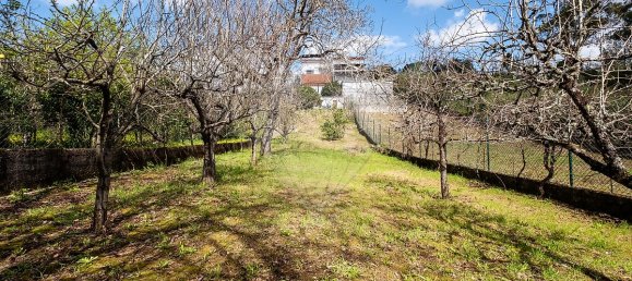 4 bedrooms House in Coimbra, Portugal No. 34183 32